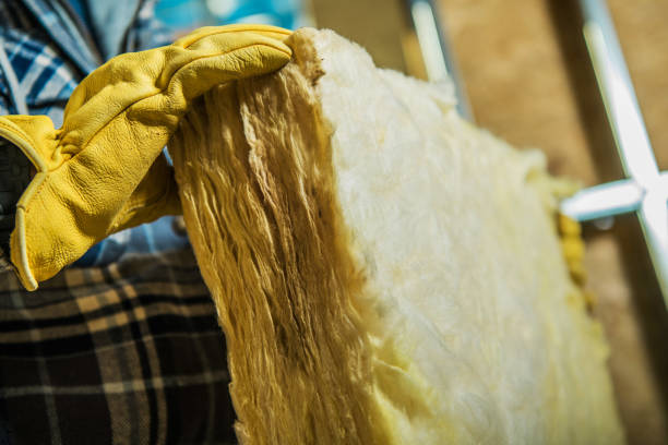 Best Eco-Friendly Insulation in Falling Waters, WV